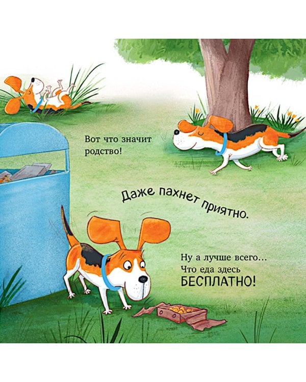 Слишком много собак