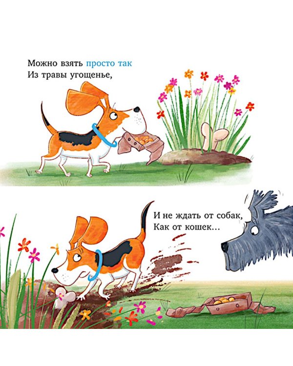 Слишком много собак