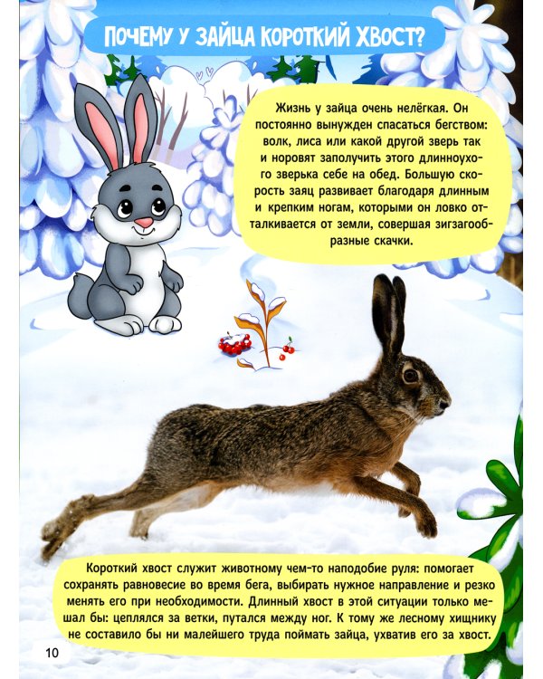 Зачем котам усы?