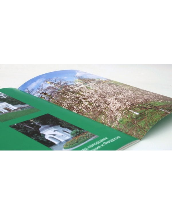 Святыни Киево-Печерской Лавры