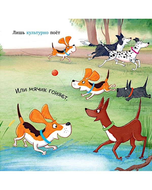 Слишком много собак