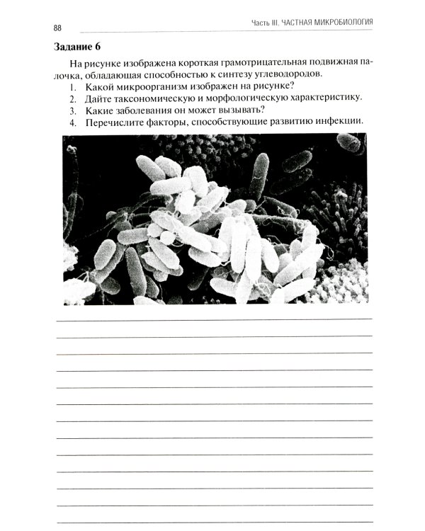 Основы микробиологии и иммунологии: Учебно-методическое пособие