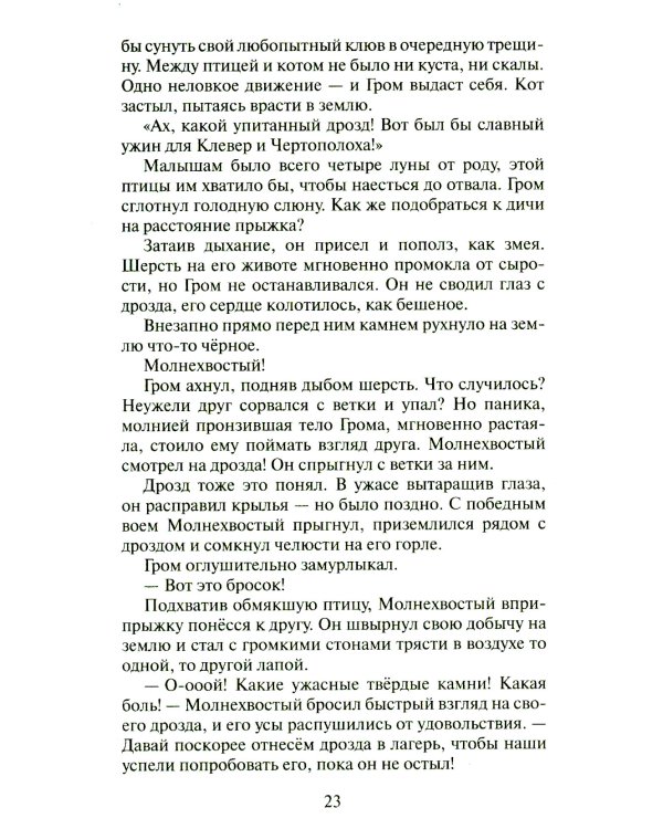 Звездная тропа