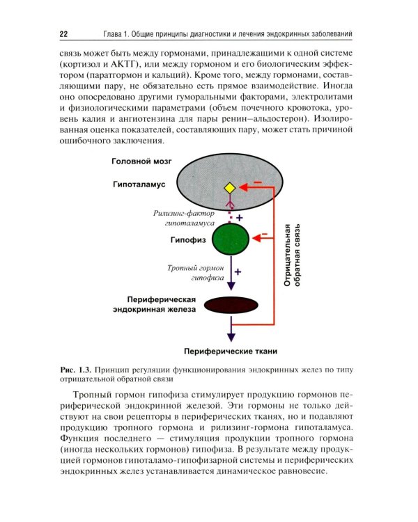 Эндокринология: Учебник. 3-е изд., перераб. и доп