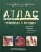 Атлас операций при злокачественных опухолях пищевода и желудка