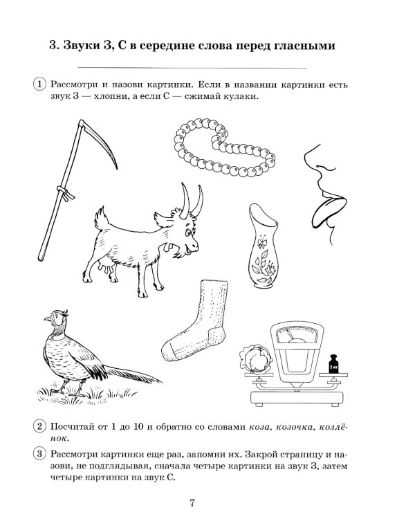 Парные звонкие - глухие согласные З-С. Альбом графических, фонематических и лексико-грамматических упражнений для детей 6-9 лет