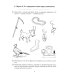 Парные звонкие - глухие согласные З-С. Альбом графических, фонематических и лексико-грамматических упражнений для детей 6-9 лет