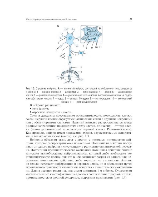 Неврология и нейрохирургия: Учебник. В 2 т. Т. 1: Неврология. 5-е изд., доп