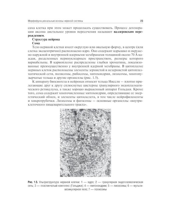 Неврология и нейрохирургия: Учебник. В 2 т. Т. 1: Неврология. 5-е изд., доп