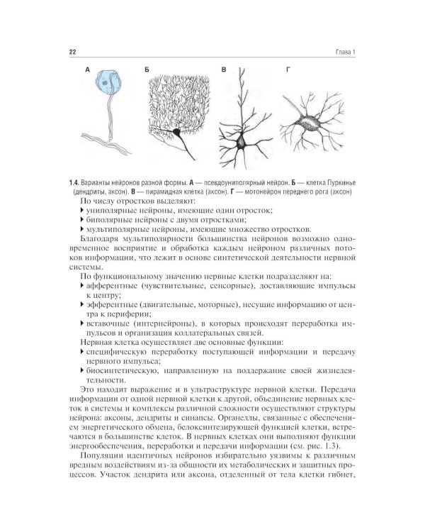 Неврология и нейрохирургия: Учебник. В 2 т. Т. 1: Неврология. 5-е изд., доп