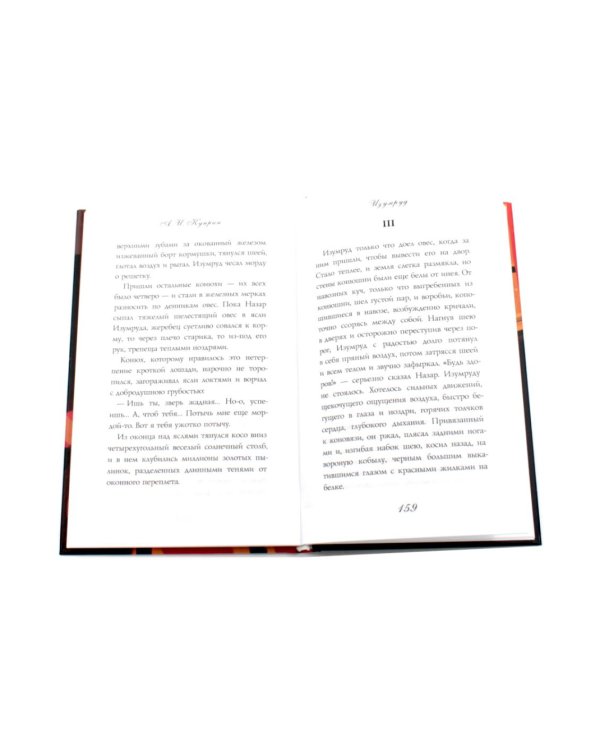 Дополнительное изображение книги «Русская классика (комплект из 4-х книг)»