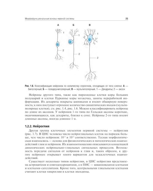 Неврология и нейрохирургия: Учебник. В 2 т. Т. 1: Неврология. 5-е изд., доп