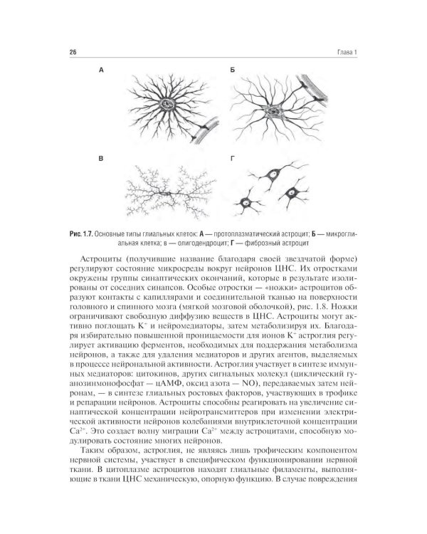 Неврология и нейрохирургия: Учебник. В 2 т. Т. 1: Неврология. 5-е изд., доп