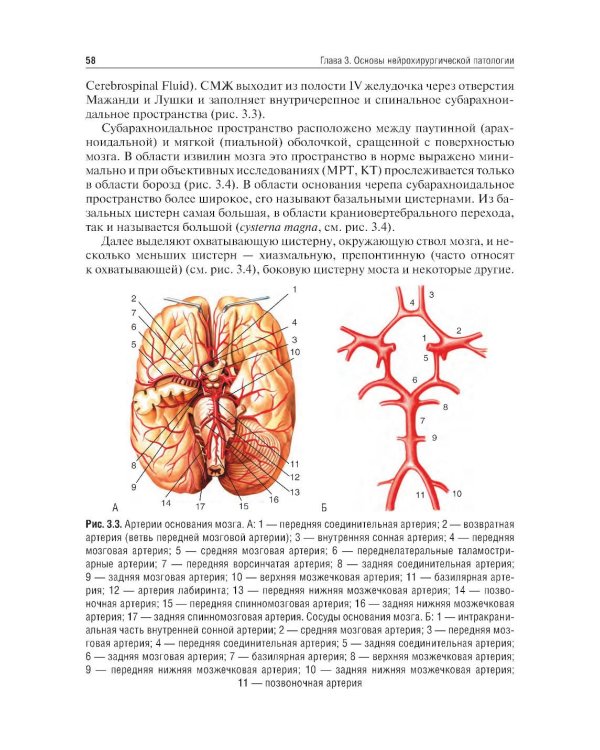 Неврология и нейрохирургия: Учебник. В 2 т. Т. 2: Нейрохирургия. 5-е изд., доп