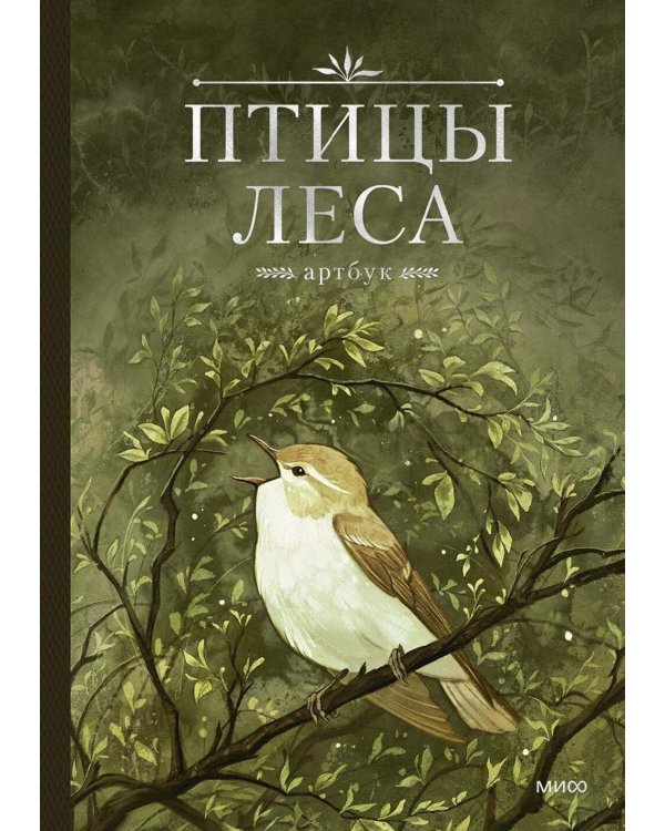 Птицы леса. Артбук