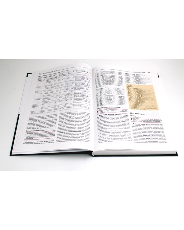 Физиология человека с основами патофизиологии. В 2 т. 2-е изд., испр (комплект)