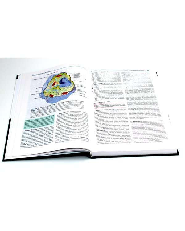 Физиология человека с основами патофизиологии. В 2 т. 2-е изд., испр (комплект)
