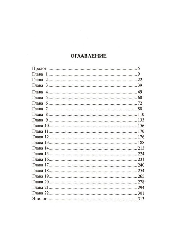 Дополнительное изображение книги «Бригада с запада»