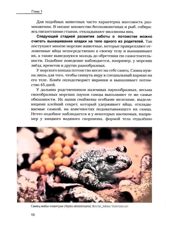 Кукушки мира: Эволюция гнездового паразитизма у птиц