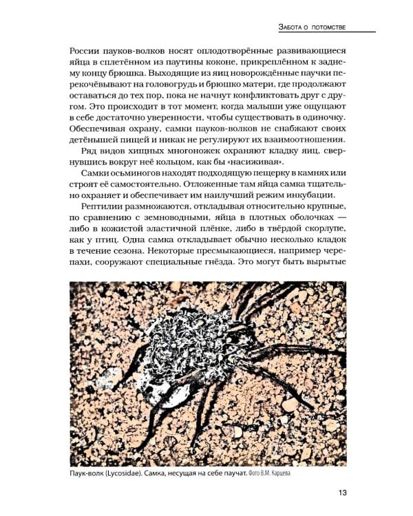 Кукушки мира: Эволюция гнездового паразитизма у птиц