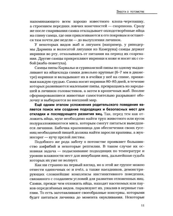 Кукушки мира: Эволюция гнездового паразитизма у птиц