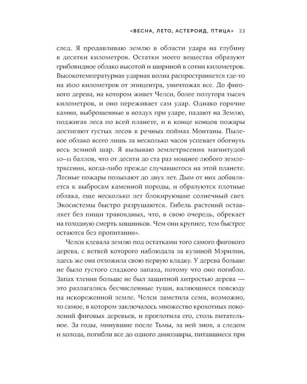 Весна, лето, астероид, птица: Искусство восточного сторителлинга