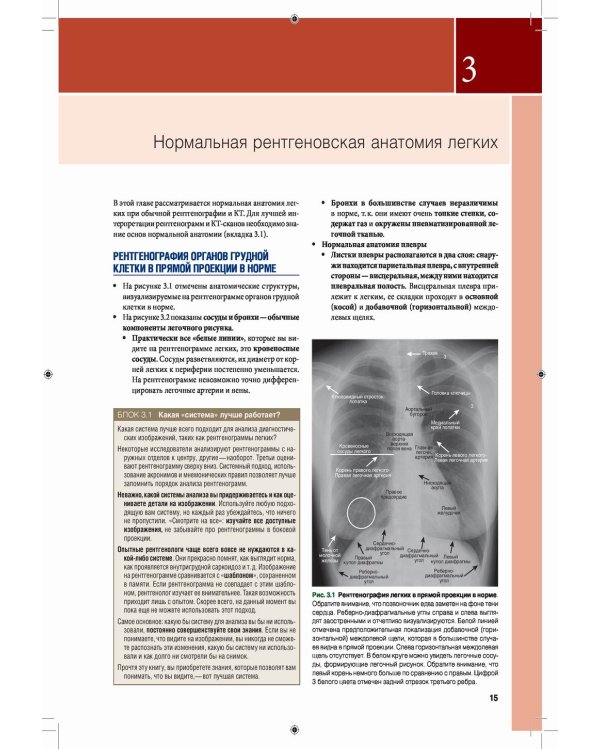 Лучевая диагностика. Основные принципы