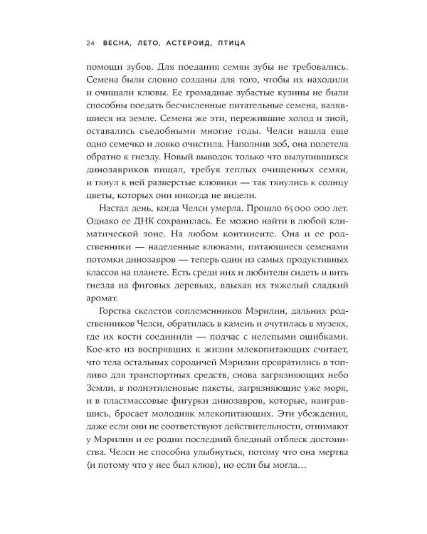 Весна, лето, астероид, птица: Искусство восточного сторителлинга
