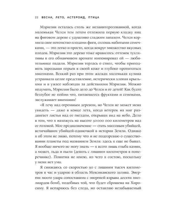 Весна, лето, астероид, птица: Искусство восточного сторителлинга