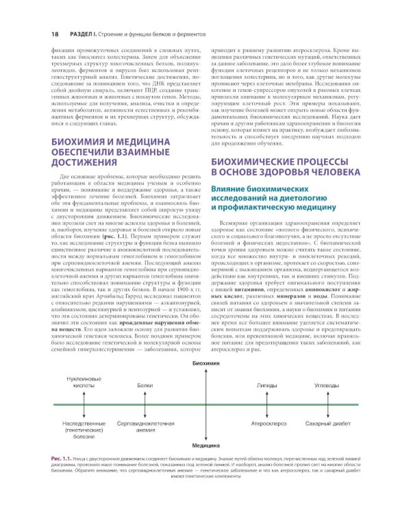 Иллюстрированная биохимия по Харперу. Фундаментальное руководство