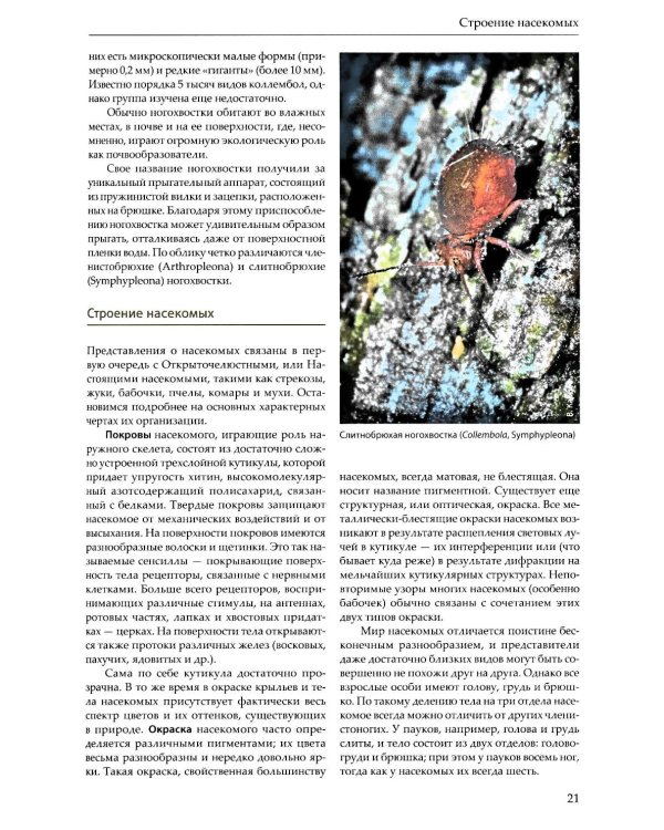 Насекомые средней полосы России. Атлас с обзором биологии. 2-е изд., перераб.и доп