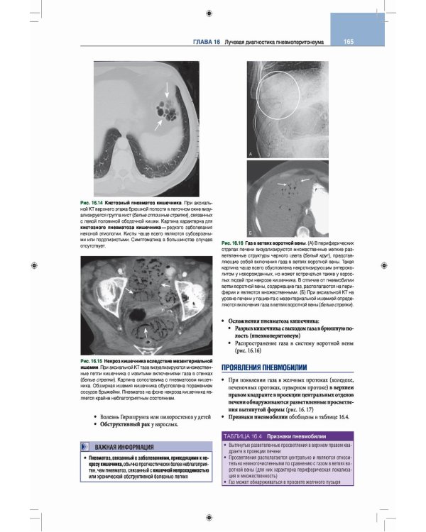 Лучевая диагностика. Основные принципы