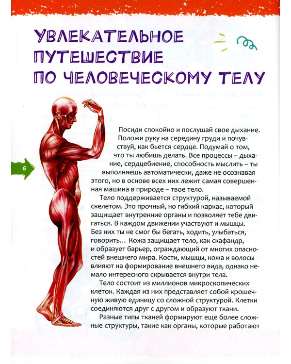 Человек. Новая детская энциклопедия