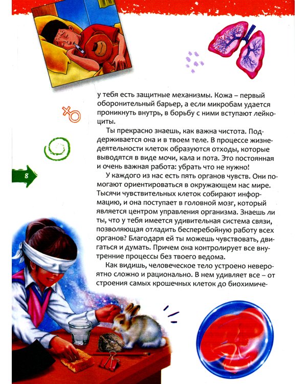 Человек. Новая детская энциклопедия