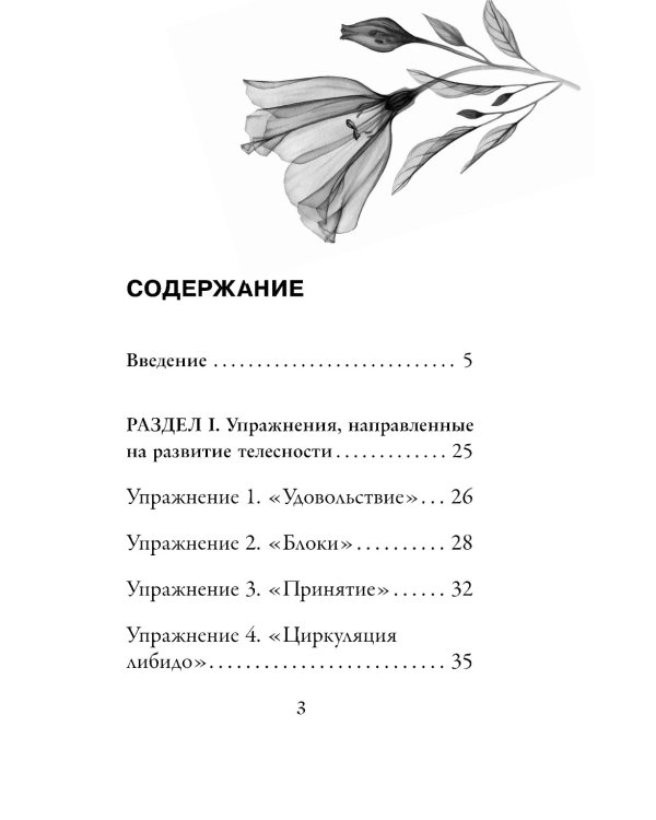 Источник желания. Метафорические карты для пробуждения энергии творчества и сексуальности + руководство