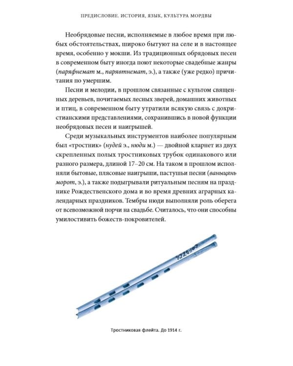 Дополнительное изображение книги «Мордовские мифы. От творца Чипаза и божества леса Вирявы до вещей птицы Куку и змеиных метеоритов»