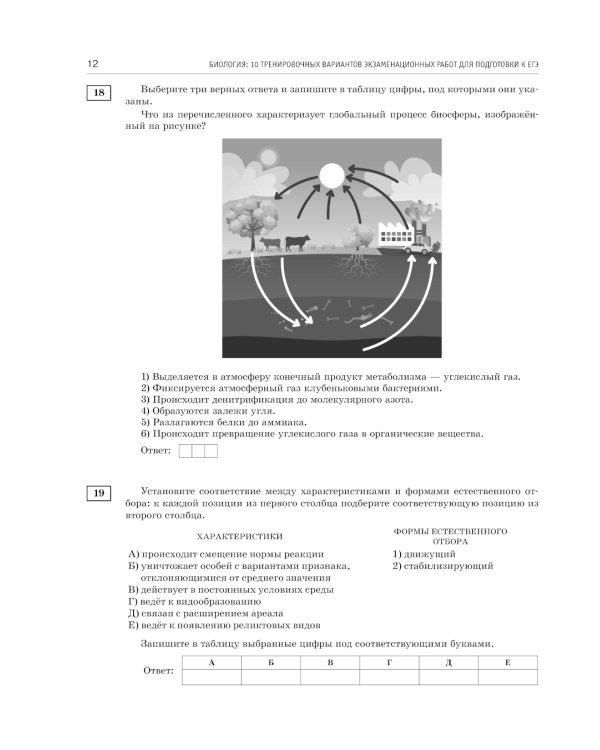 Дополнительное изображение книги «ЕГЭ-2025: Биология: 10 тренировочных вариантов экзаменационных работ для подготовки к ЕГЭ»