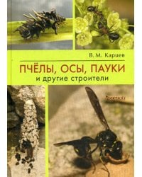 Пчелы, осы, пауки и другие строители