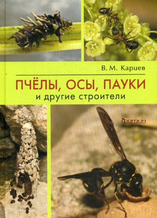 Пчелы, осы, пауки и другие строители