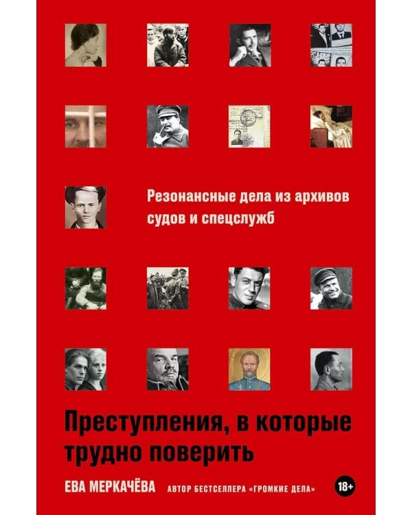 Дополнительное изображение книги «Преступления, в которые трудно поверить: Резонансные дела из архивов судов и спецслужб»