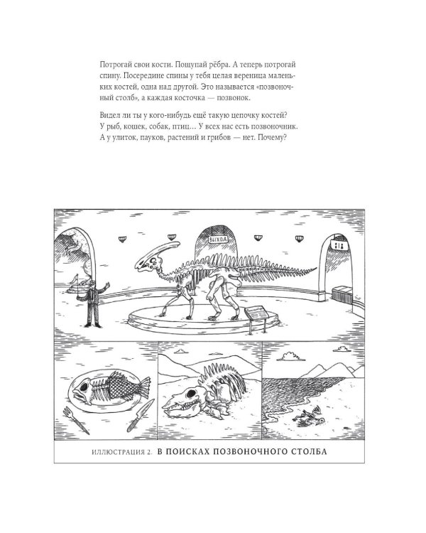 Дополнительное изображение книги «Одна большая семья: Чарльз Дарвин, эволюция и тайны всего живого»