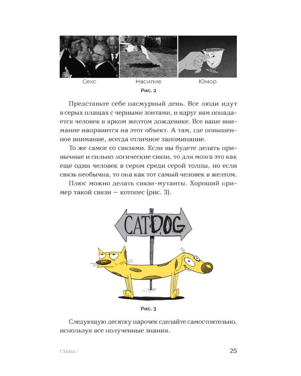 Суперпамять за семь шагов: Книга-тренинг