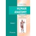 Human Anatomy = Анатомия человека: textbook: in 2 vol. Vol. 1: на англ.языке