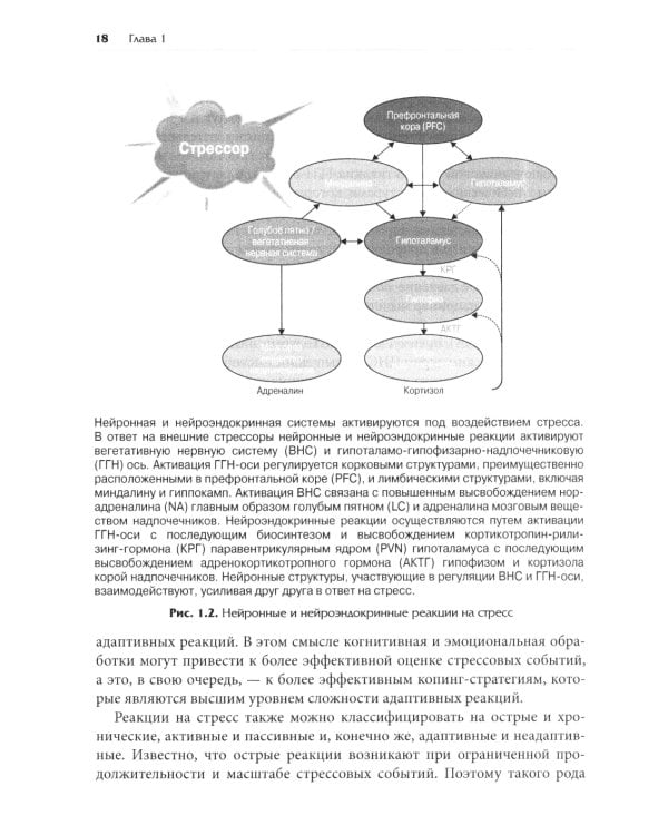 Нейробиология стресса. Когнитивный, эмотивный и поведенческий подход