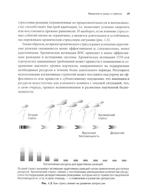 Нейробиология стресса. Когнитивный, эмотивный и поведенческий подход