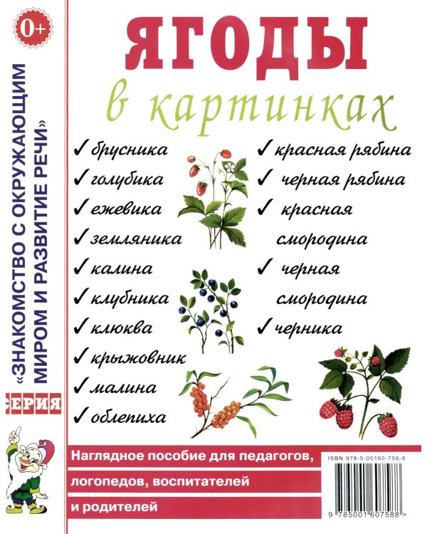 Ягоды в картинках. Наглядное пособие для педагогов, воспитателей, логопедов, родителей