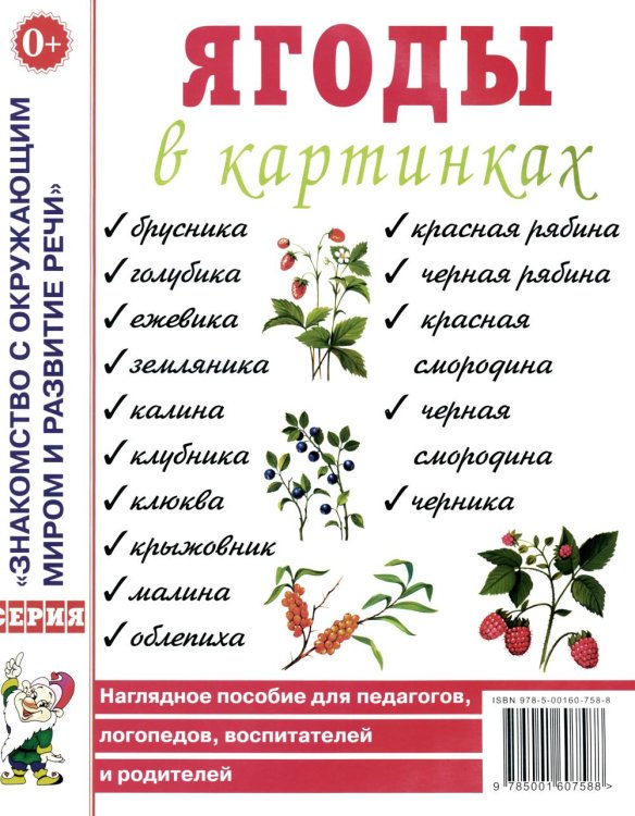 Ягоды в картинках. Наглядное пособие для педагогов, воспитателей, логопедов, родителей