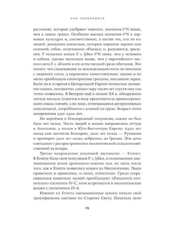 Человек среди котов: История близкого соседства