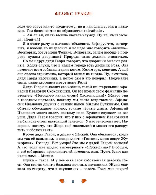 Феликс Булкин: повесть