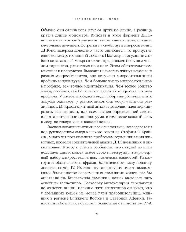 Человек среди котов: История близкого соседства